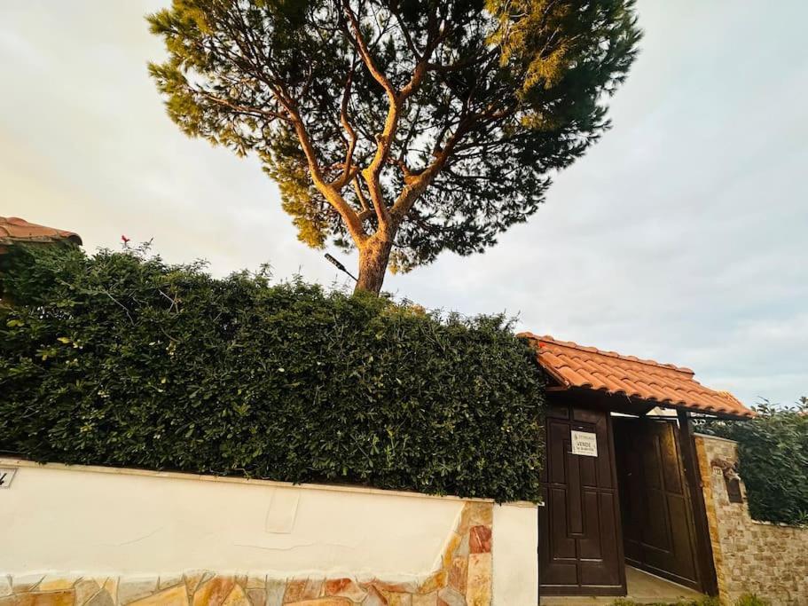 Fontana House Vila Marina di Cerveteri Exterior foto